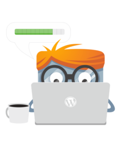 WordPress website update abonnement