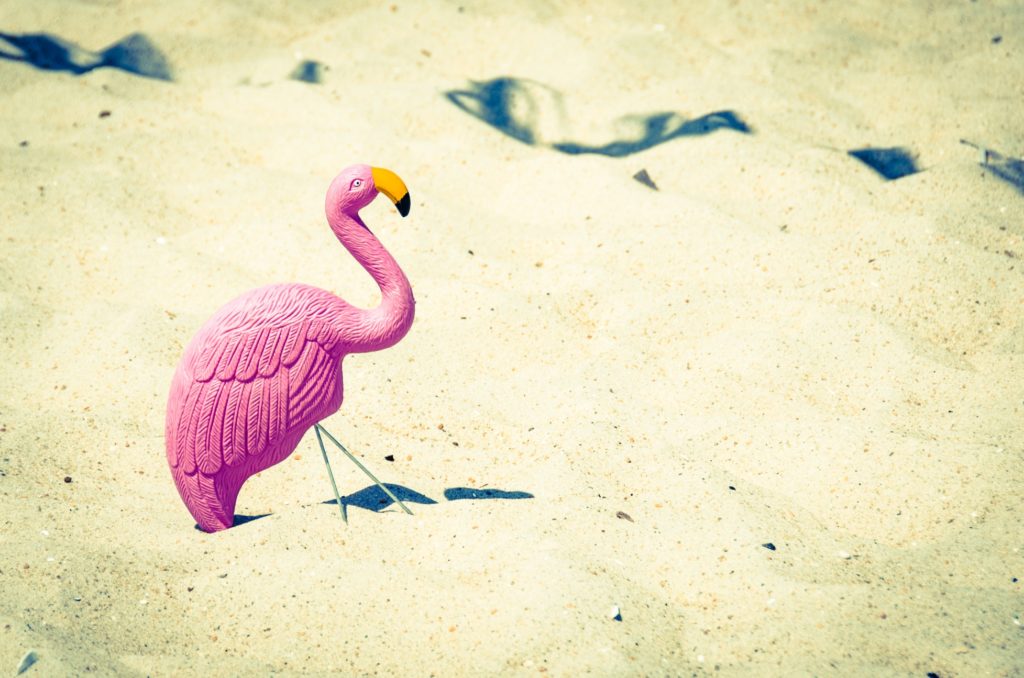 trending WordPress thema's