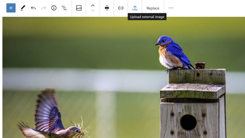 gutenberg 8.5
