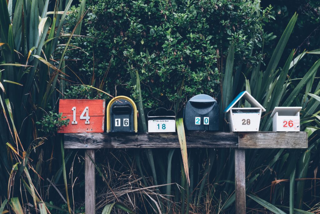 newsletter plugin