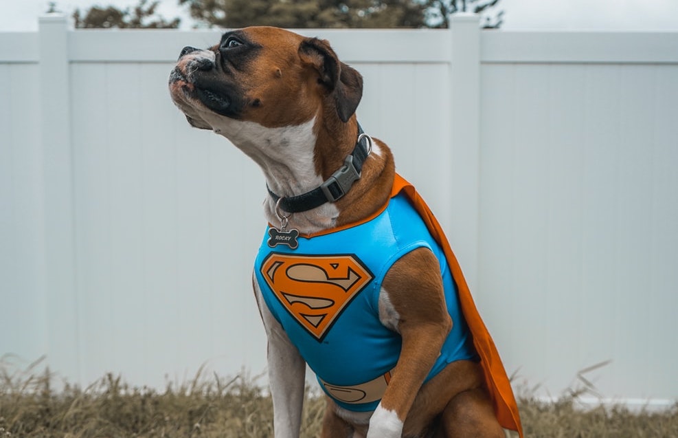 Super-Smush feature