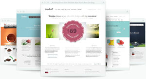 Waar vind ik wordpress thema's