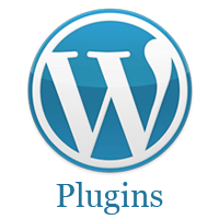 Wat is een wordpress plugin?